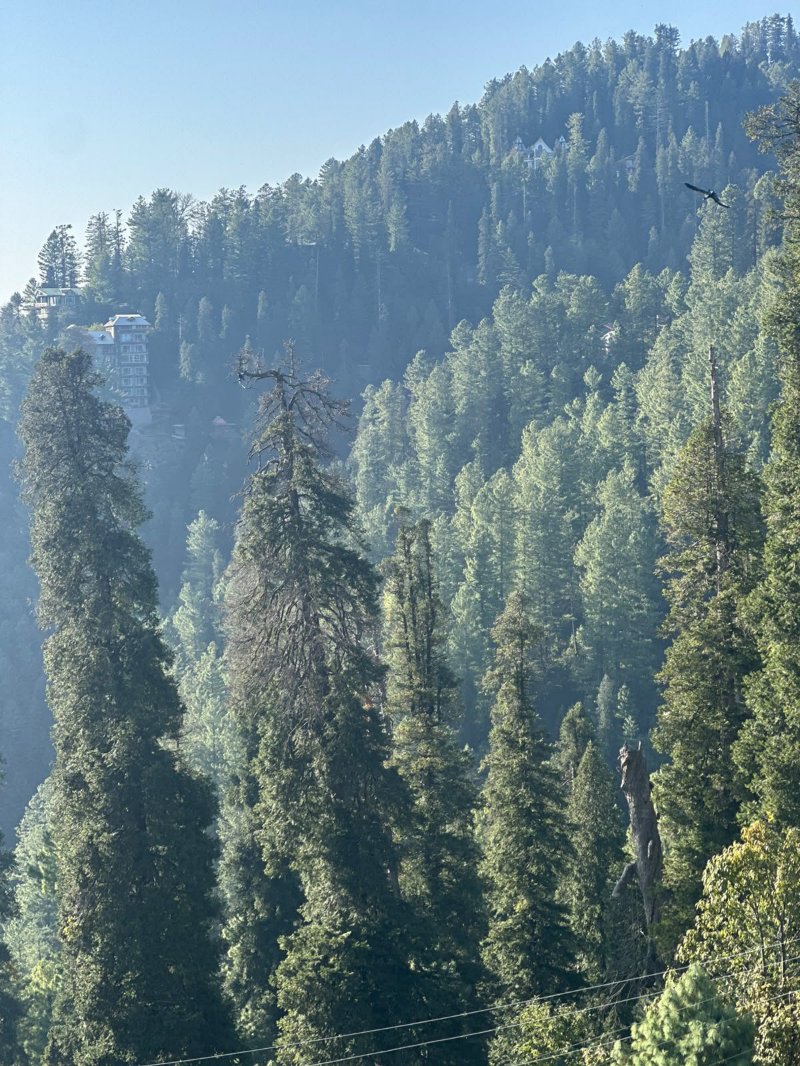 Nathia Gali ,Abbottabad