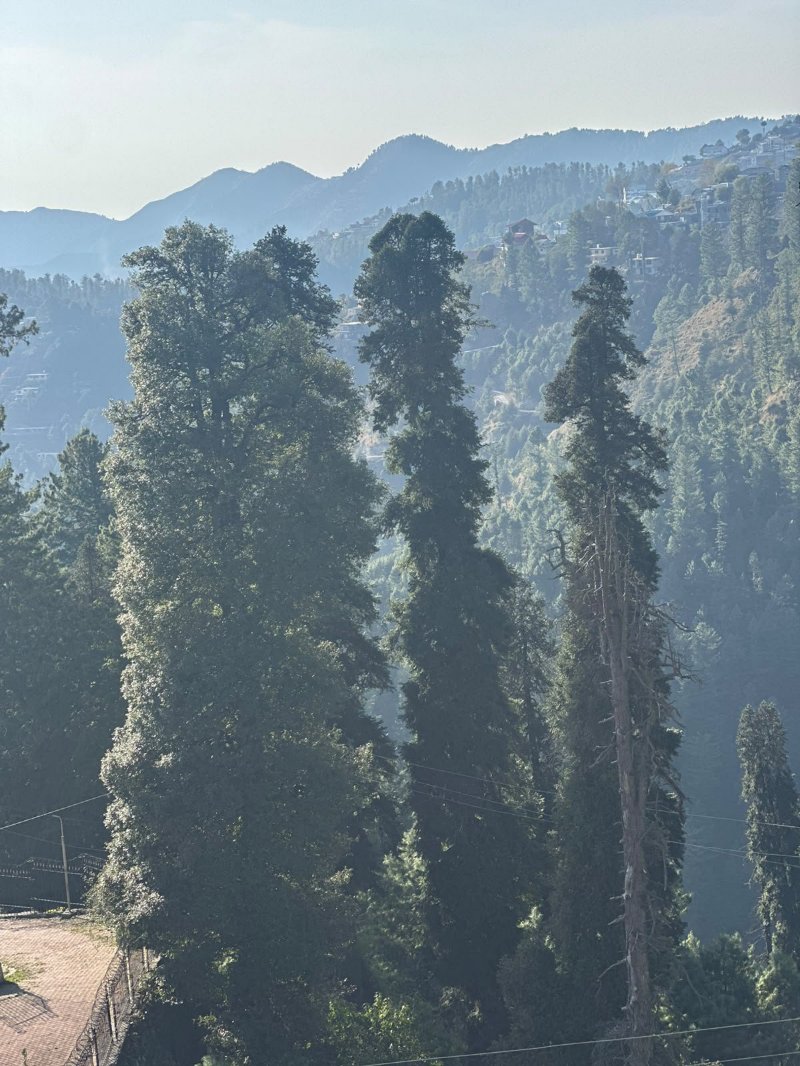 Nathia Gali ,Abbottabad